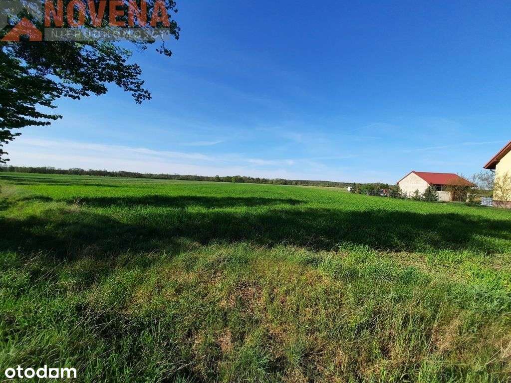 Ostatnie dwie działki, media w realizacji. - Pełny obrazek: 5/5