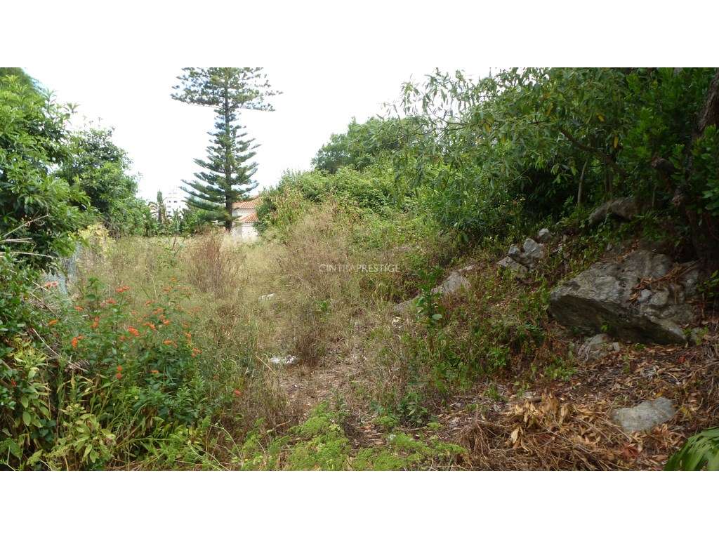 Terreno Urbano com 856m2 PIP em Aprovação na Portela de Sintra-8