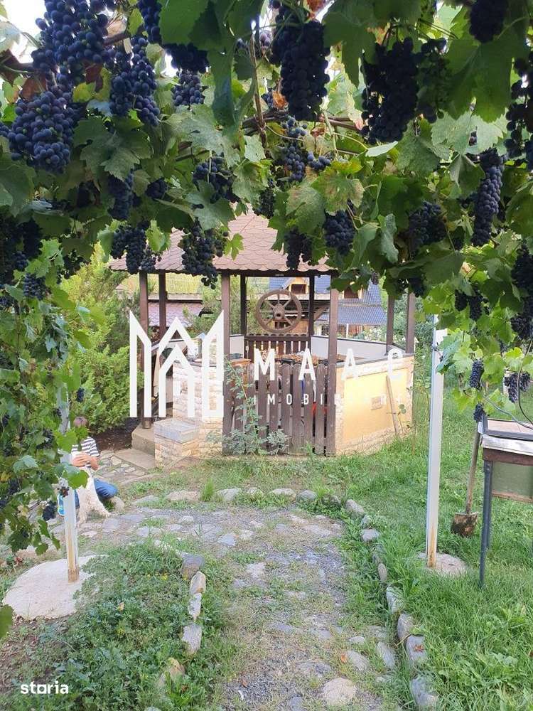 Teren Intravilan | 634 MP | Livada | Cisnadie - Imagine principală: 4/6