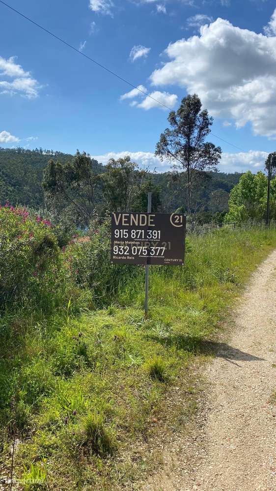 Terreno Rústico junto à Barragem de Castelo de Bode – Um Refúgio Natur - Grande imagem: 3/16
