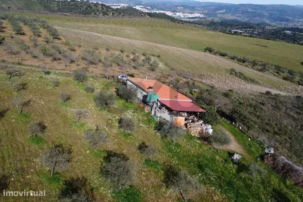 Encantadora Pequena Quinta à Venda nos Passos – O Refúgio Perfeito da - Grande imagem: 5/9