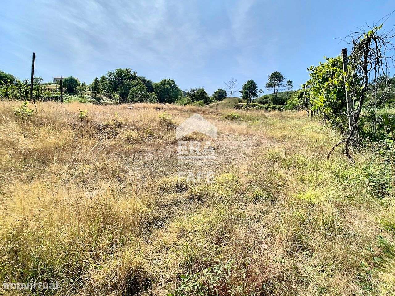 Terreno em Várzea Cova - Fafe - Grande imagem: 5/11