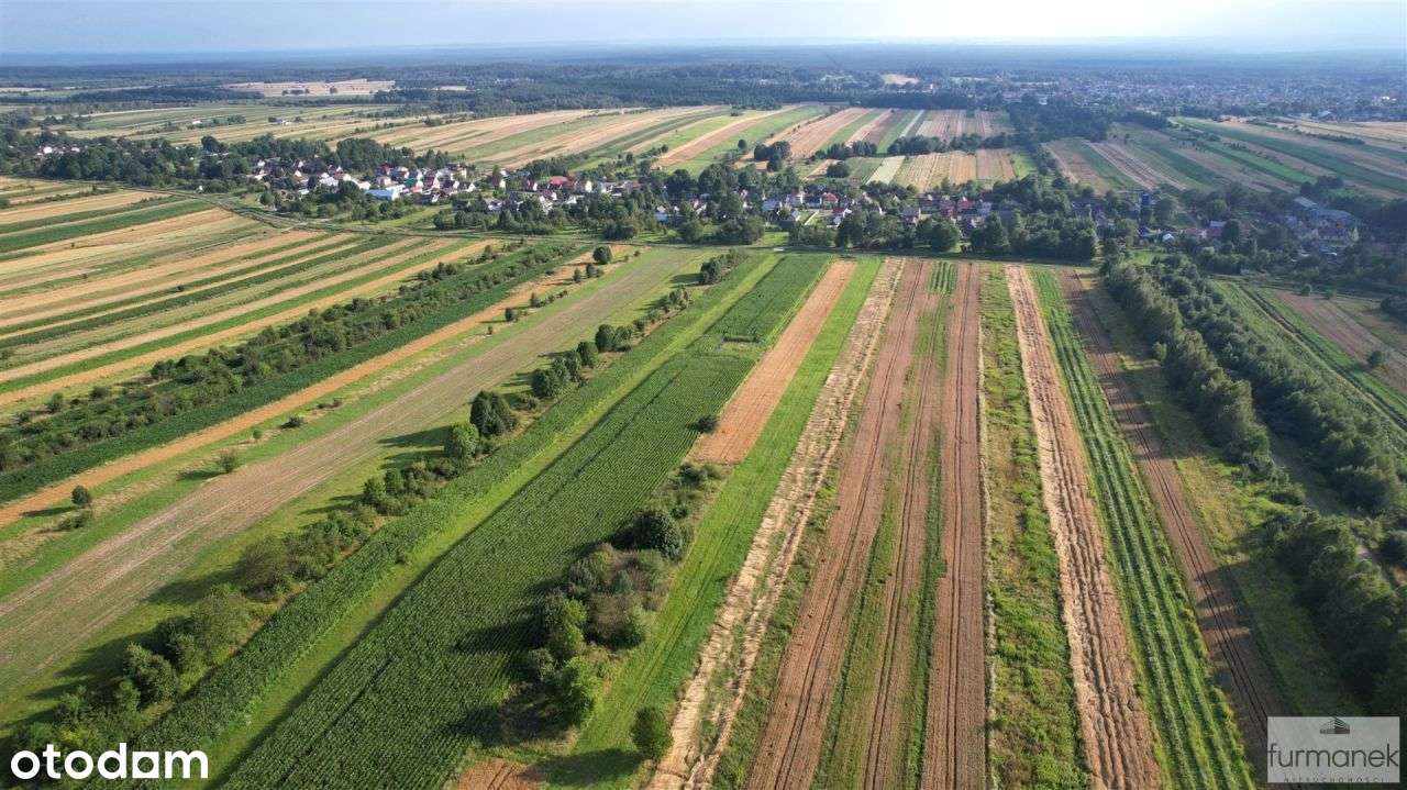 Tereny rolno-leśne o pow. 3,05 ha w gm.J ózefów-1