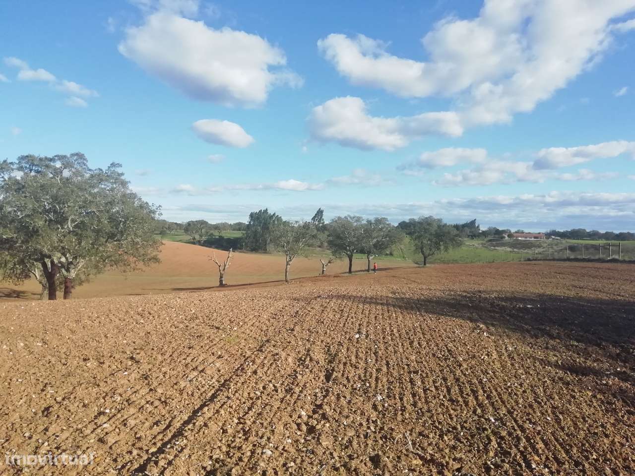 Monte Alentejano com casa e projeto turismo aprovado - Grande imagem: 3/10