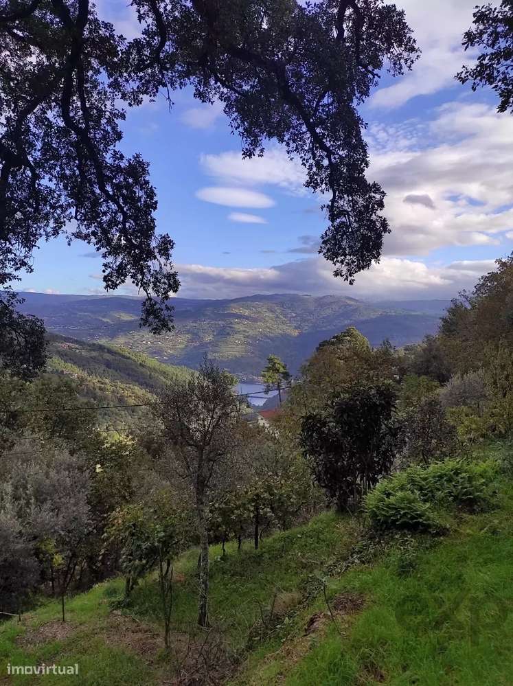 Terreno com Vista Deslumbrante em Gove - Grande imagem: 3/5