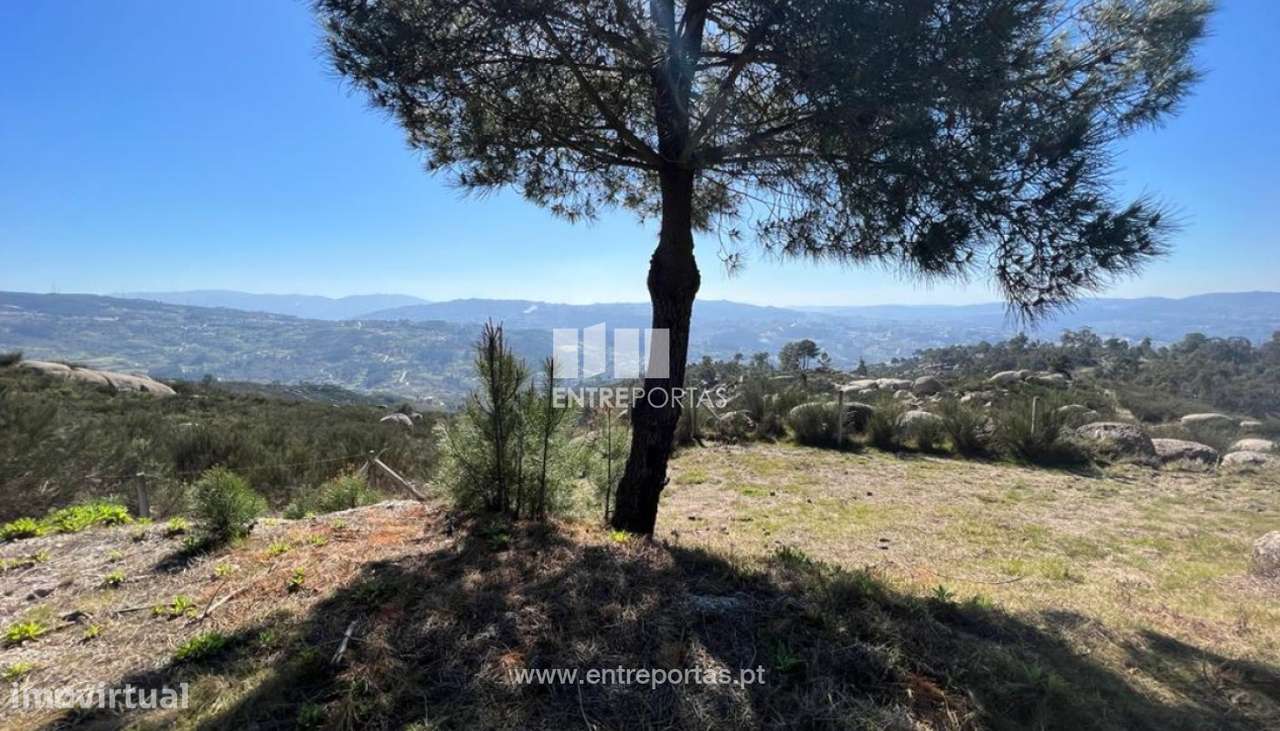 Venda Terreno, Soalhães, Marco de Canaveses - Grande imagem: 4/30