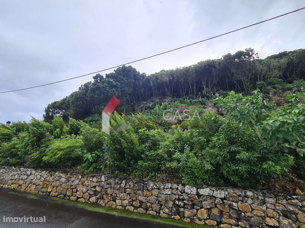 Venda Terreno - Grande imagem: 4/6