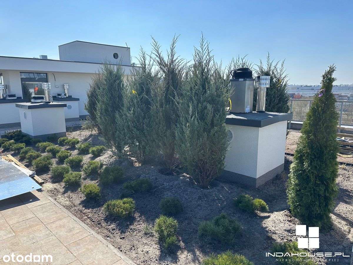 Bardzo wysoki standard I Wysokie mieszkania I Ziel - Pełny obrazek: 4/9