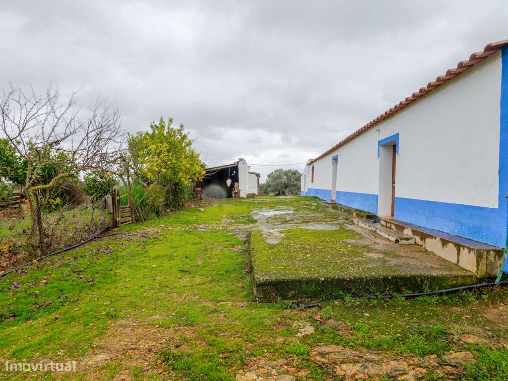 Fantástica quinta típica Alentejana em Vila Verde de Ficalho-11