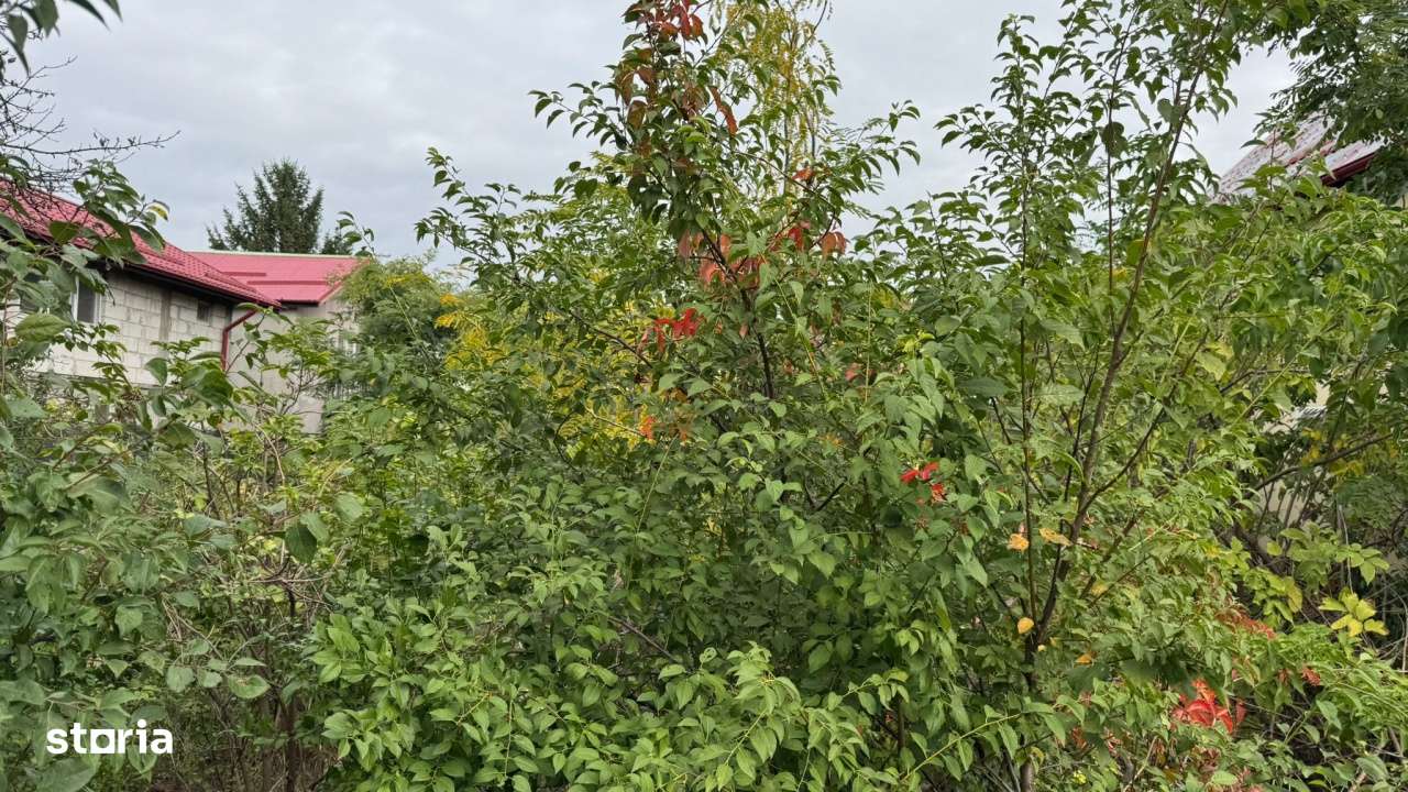 Teren intravilan Pipera I Vanzare - Imagine principală: 4/4