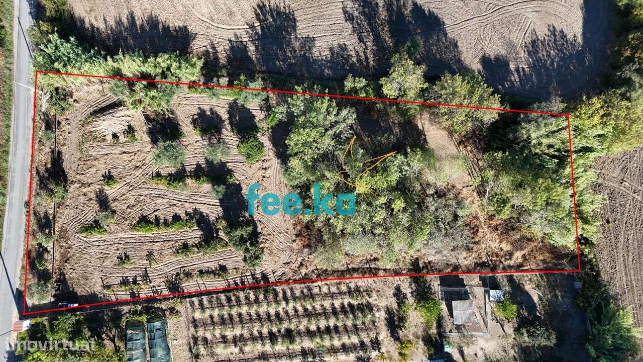 Terreno em Ladoeiro-47