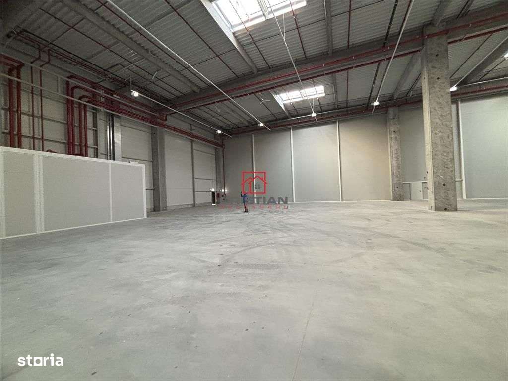 Vanzare depozithalaspatiu industrial Theodor Pallady - A2-5