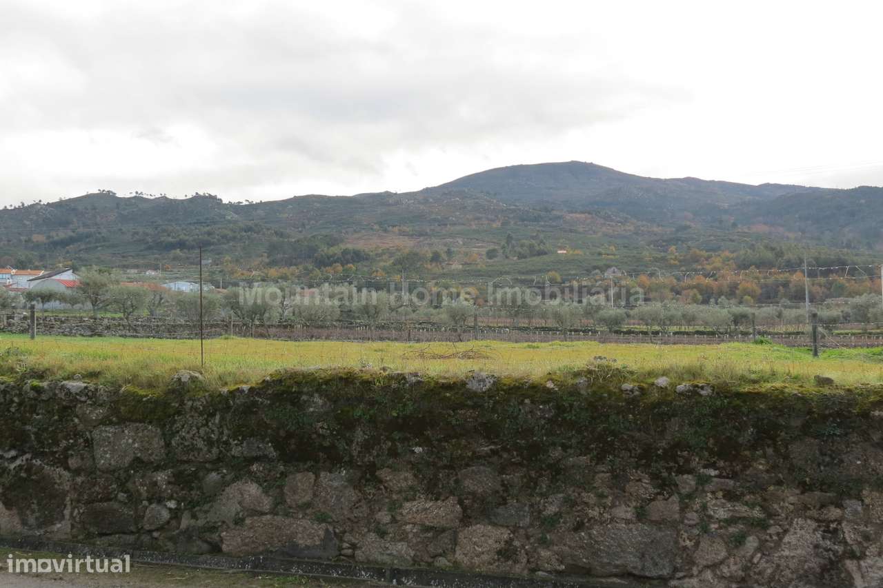 Terreno Para Construção  Venda em Santa Marinha e São Martinho,Seia - Grande imagem: 5/5