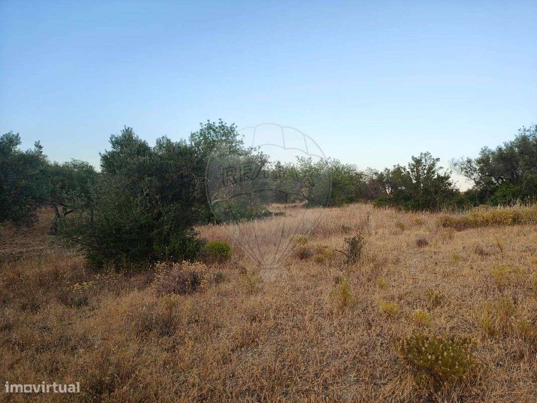 Terreno  para venda - Grande imagem: 4/12