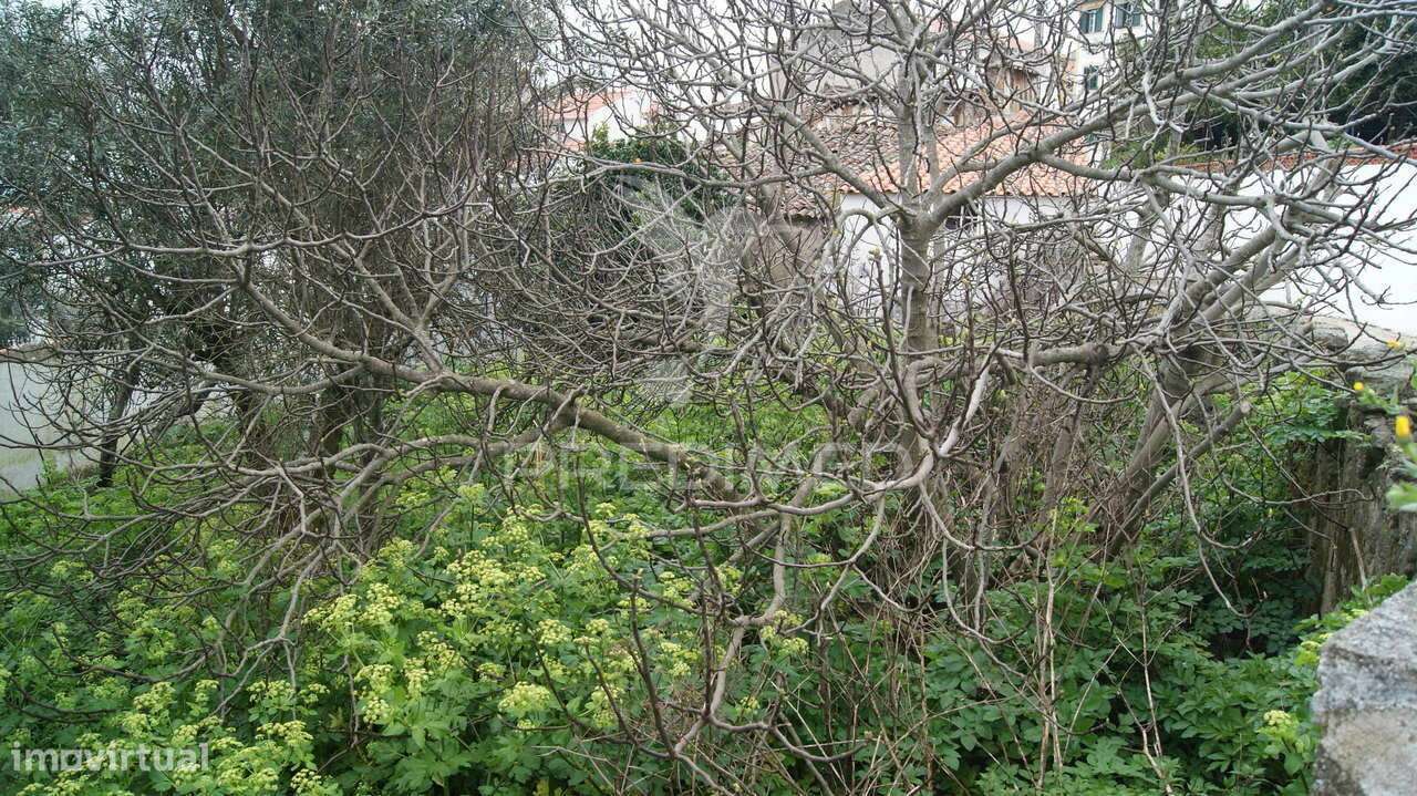 Moradia 2 pisos com quintal Carreiras/Portalegre - Grande imagem: 5/12