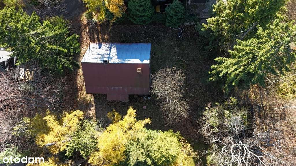 Działka z domem do remontu przy Parku narodowym - Pełny obrazek: 4/10