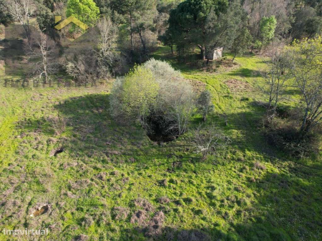 Refúgio Natural em Aldeia de Águas - Penamacor - Grande imagem: 4/7