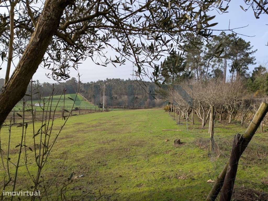 Terreno em Santiago de Bougado - Grande imagem: 5/9