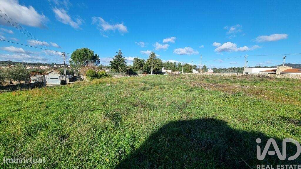 Terreno para construção em Lajeosa do Mondego de 3000,00 m2 - Grande imagem: 5/13