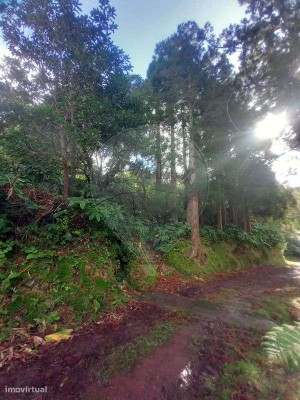 Terreno  para venda - Grande imagem: 3/8