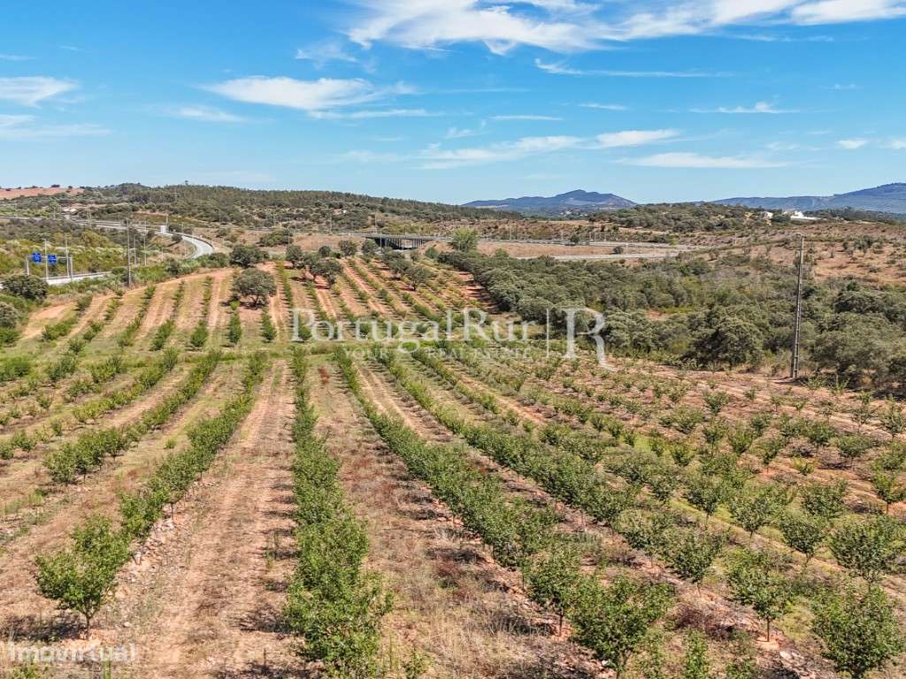 Terreno com 4ha com aptidão para construção de unidade de turismo - Grande imagem: 4/16