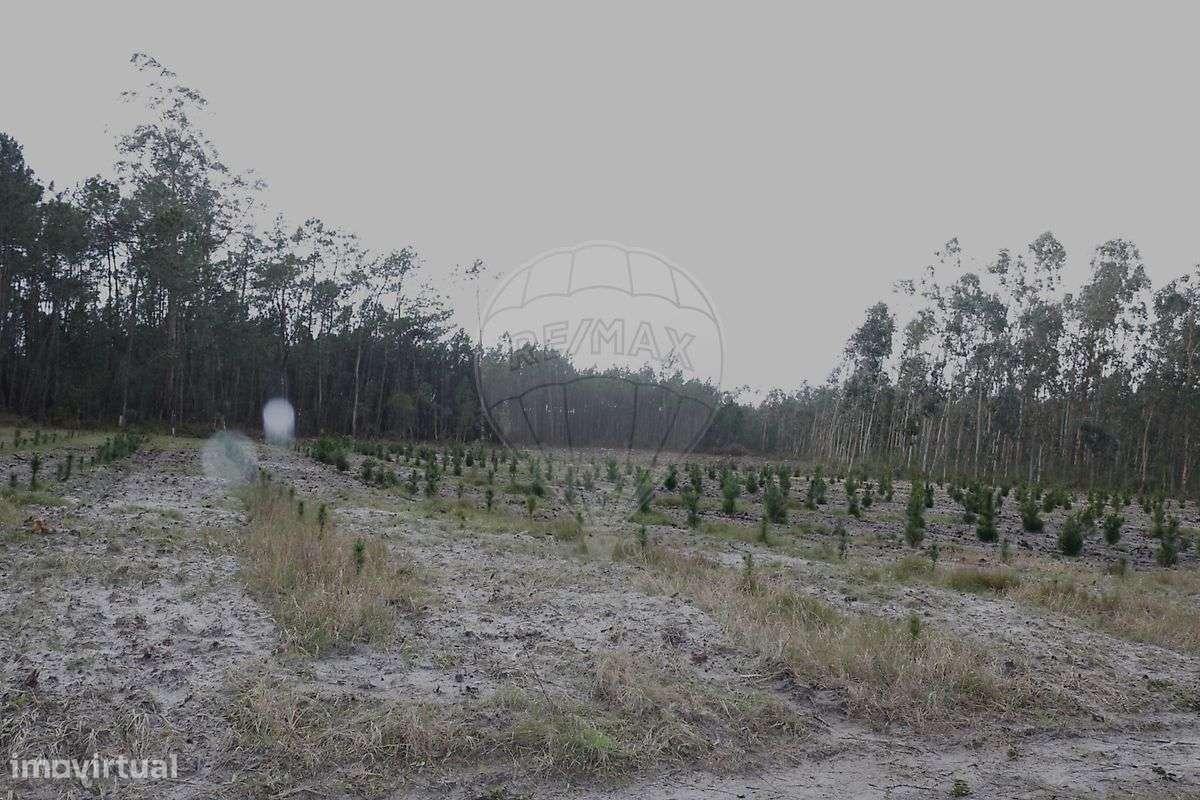 Terreno  para venda - Grande imagem: 2/4