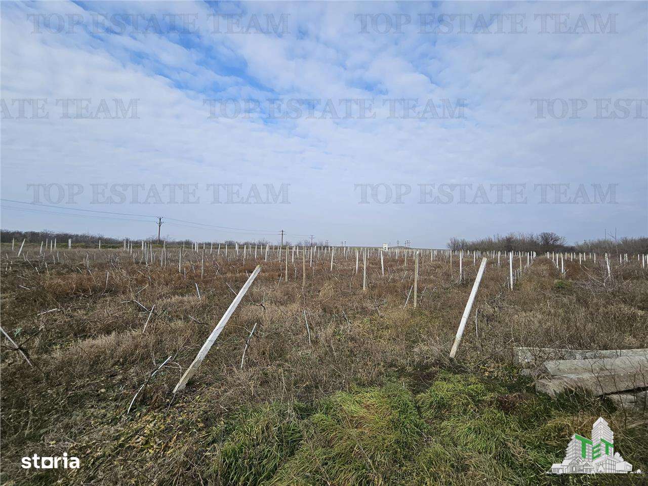 Teren intravilan Harsova - Imagine principală: 4/7