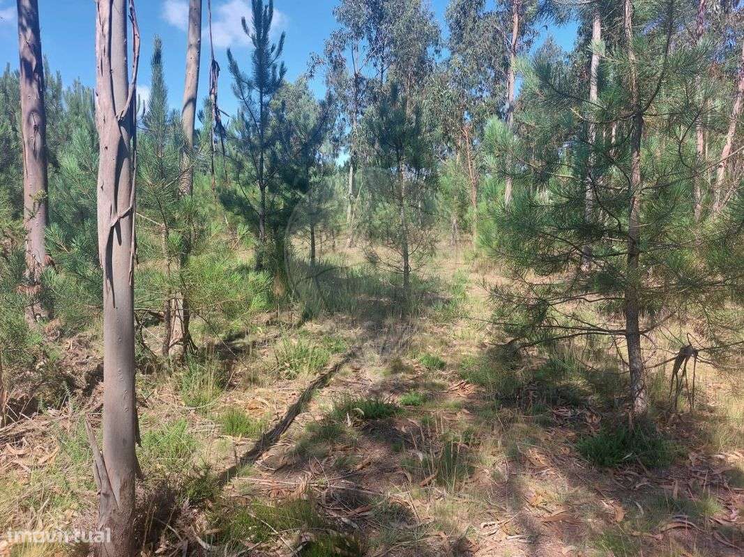 Terreno  para venda - Grande imagem: 5/9