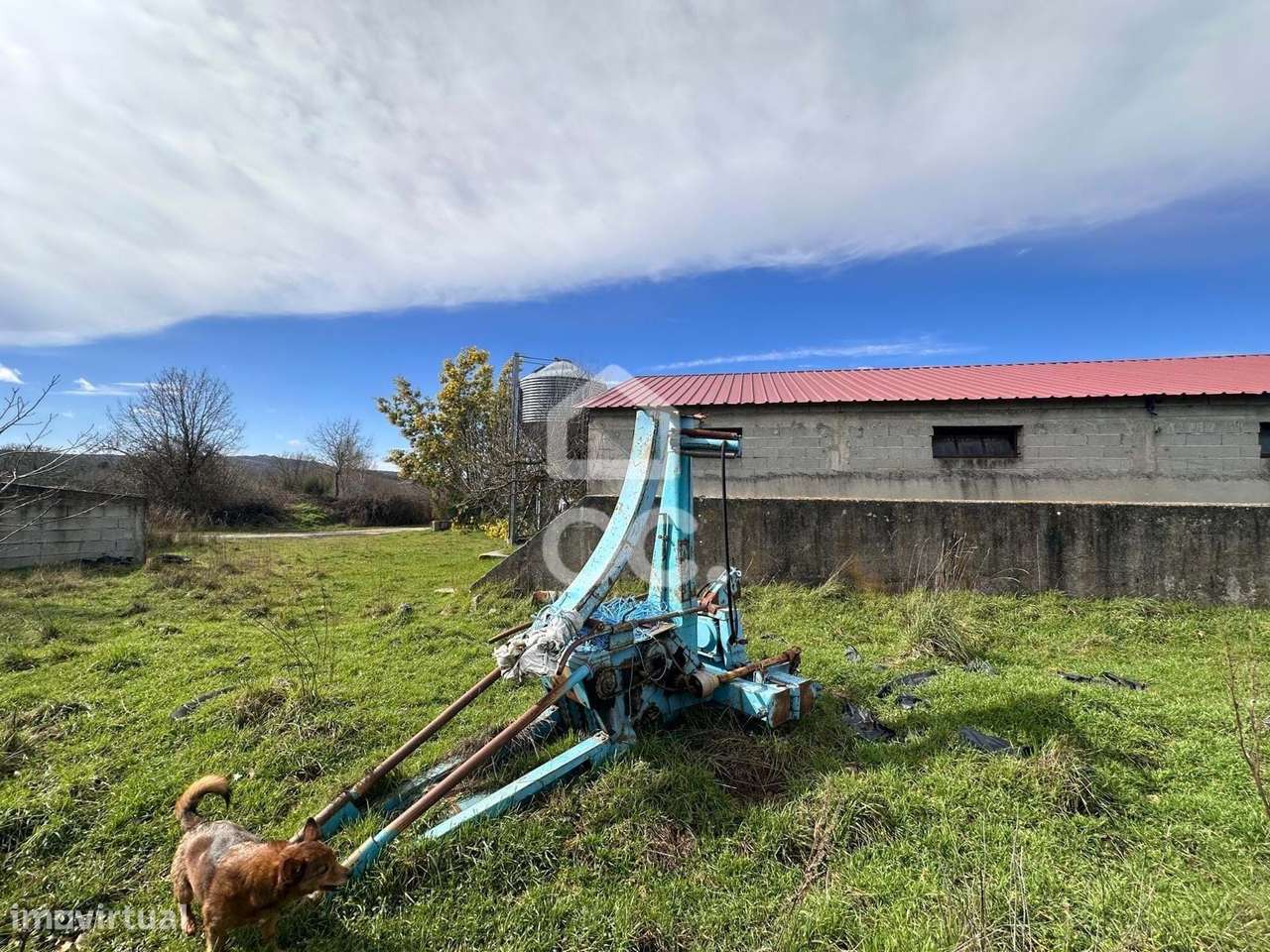 Armazém com terreno - Grande imagem: 4/14