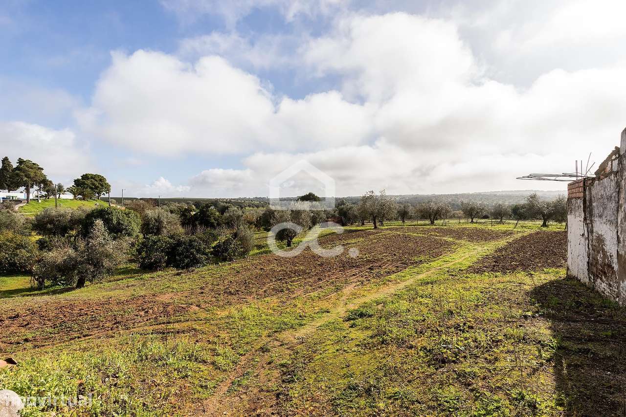 Quinta T5 de 0,9 ha com Moradias e Anexos | Torrão, Alcácer do Sal-46