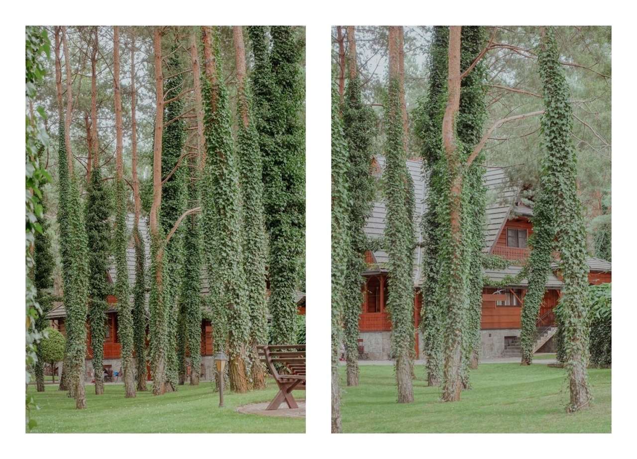 Unikatowa willa do zamieszkania lub pod usługi-13