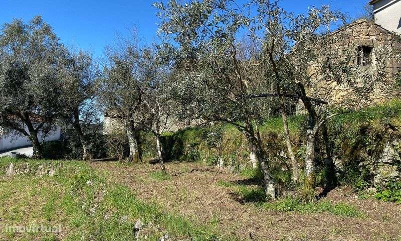 Terreno para Construção 1200m2 - Grande imagem: 4/10