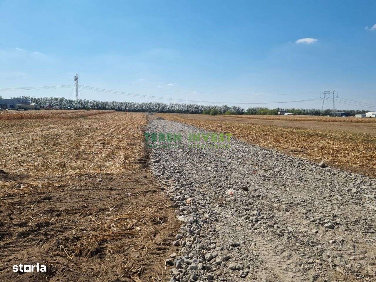 Vânzare teren industrial  – Frumușani, 10.800 mp-2