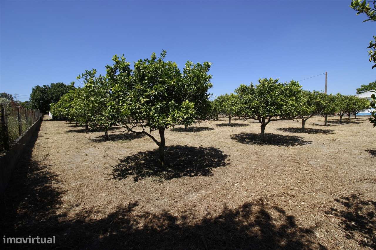 Moradia T3 Venda em Vendas Novas,Vendas Novas-23