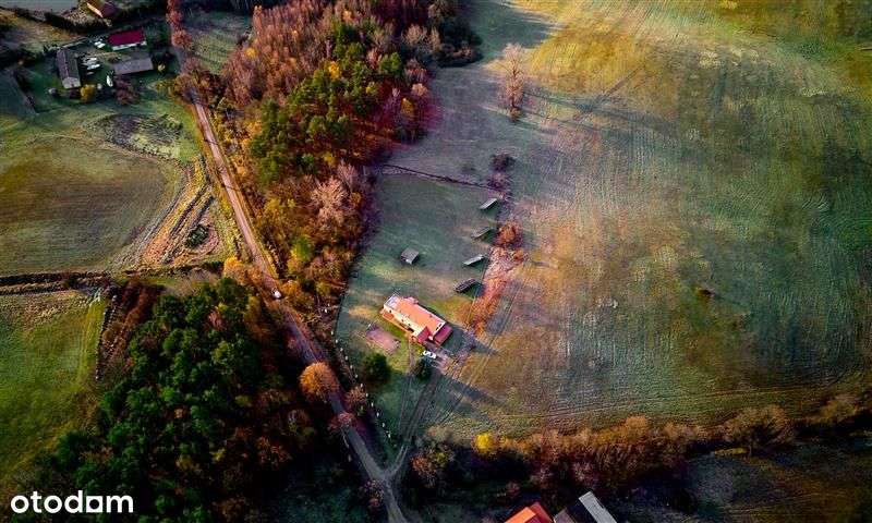 Atrakcyjny dom-pensjonat nad Jeziorem Drawsko - Pełny obrazek: 5/20