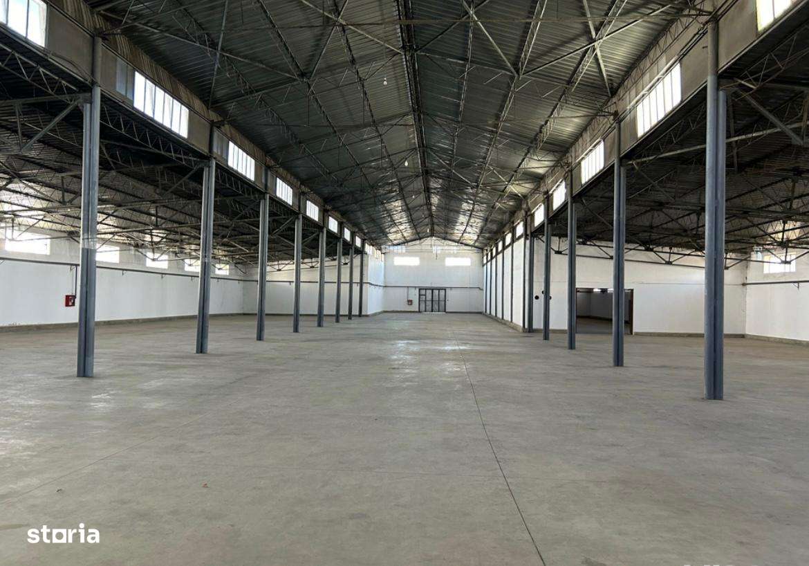 Hale de inchiriat de 250 mp si 650 mp str Constantin Musat - Imagine principală: 4/5