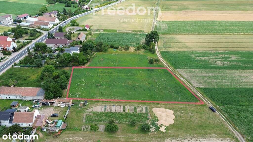 Działka Inwestycyjna w Łosiowie - Pełny obrazek: 4/6