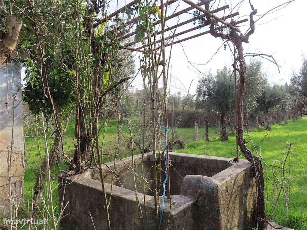 Quinta  para venda - Grande imagem: 4/24