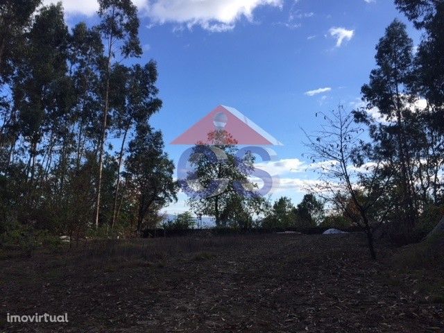 Terreno Urbano (boa localização) - VNF