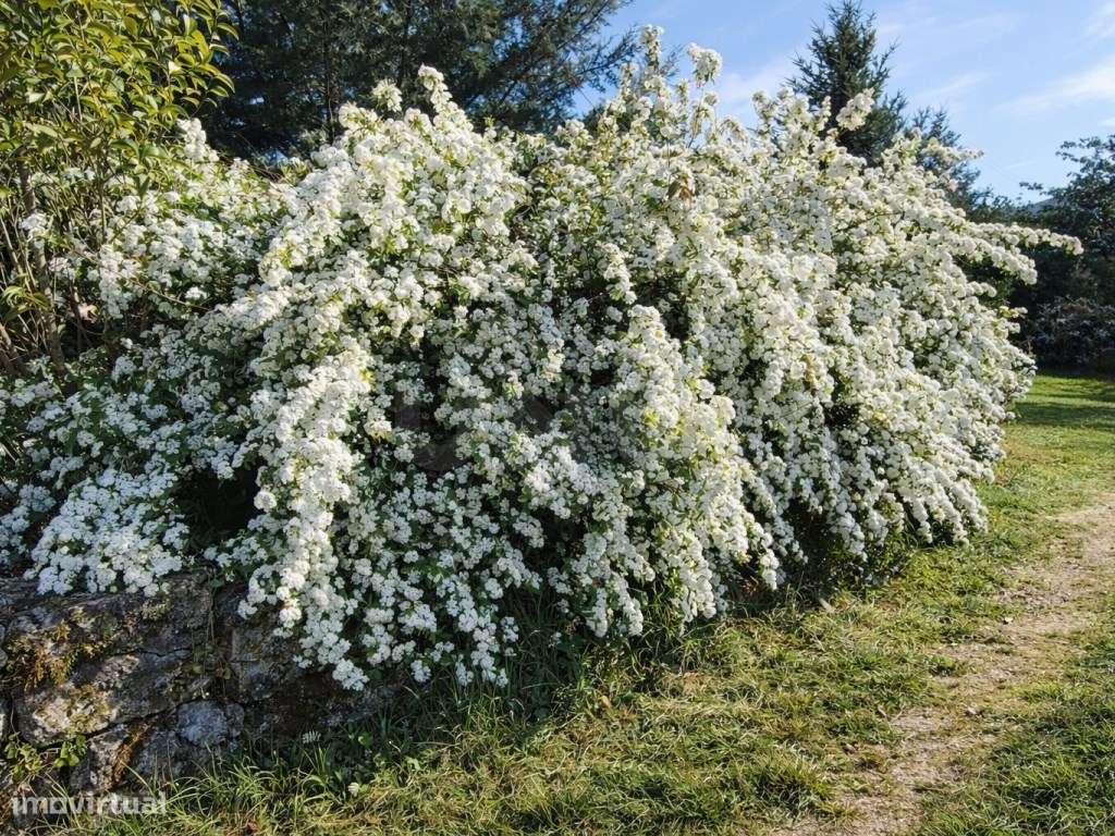 ATIVO TURÍSTICO + QUINTA DE EXCEÇÃO NA BEIRA ALTA-26