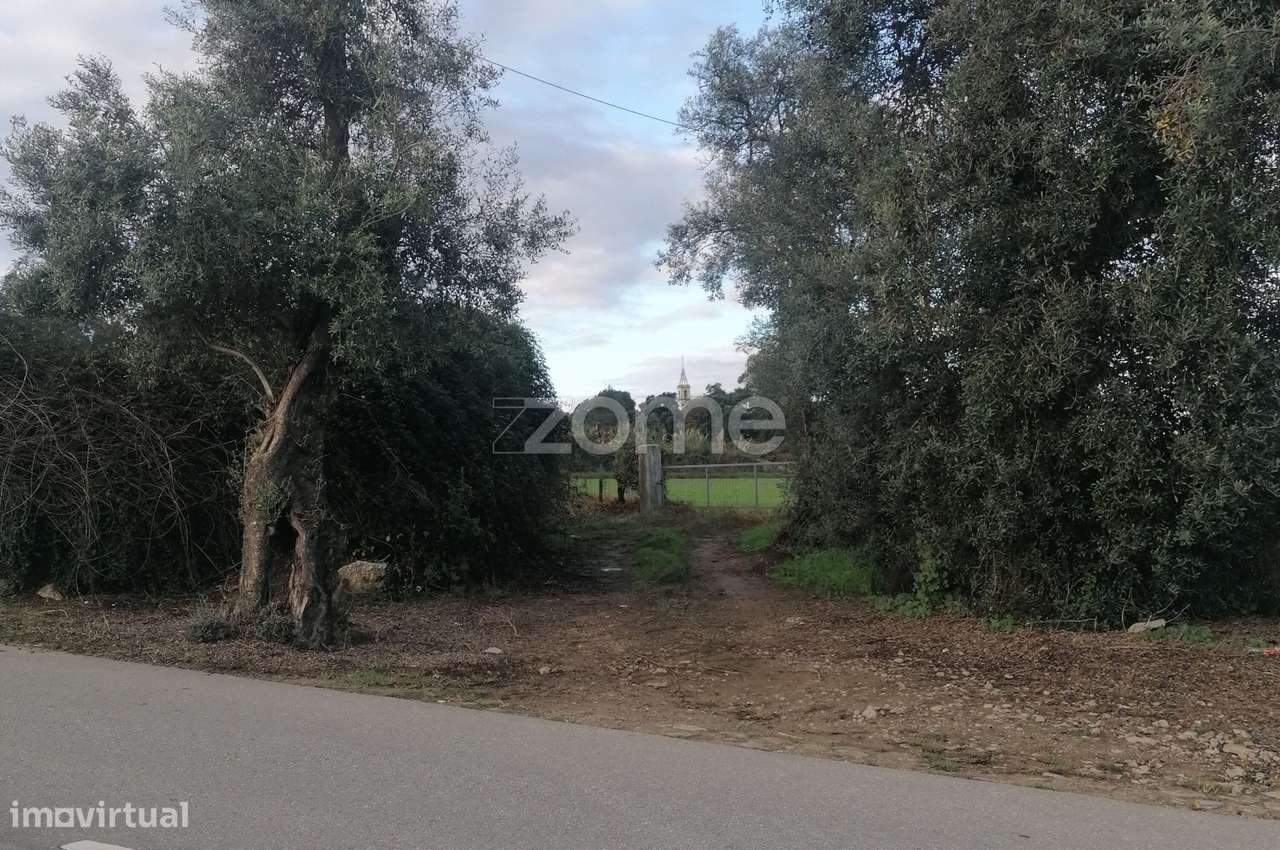 Terreno agrícola com 6.650 M2 em Minhotães-Barcelos - Grande imagem: 4/14
