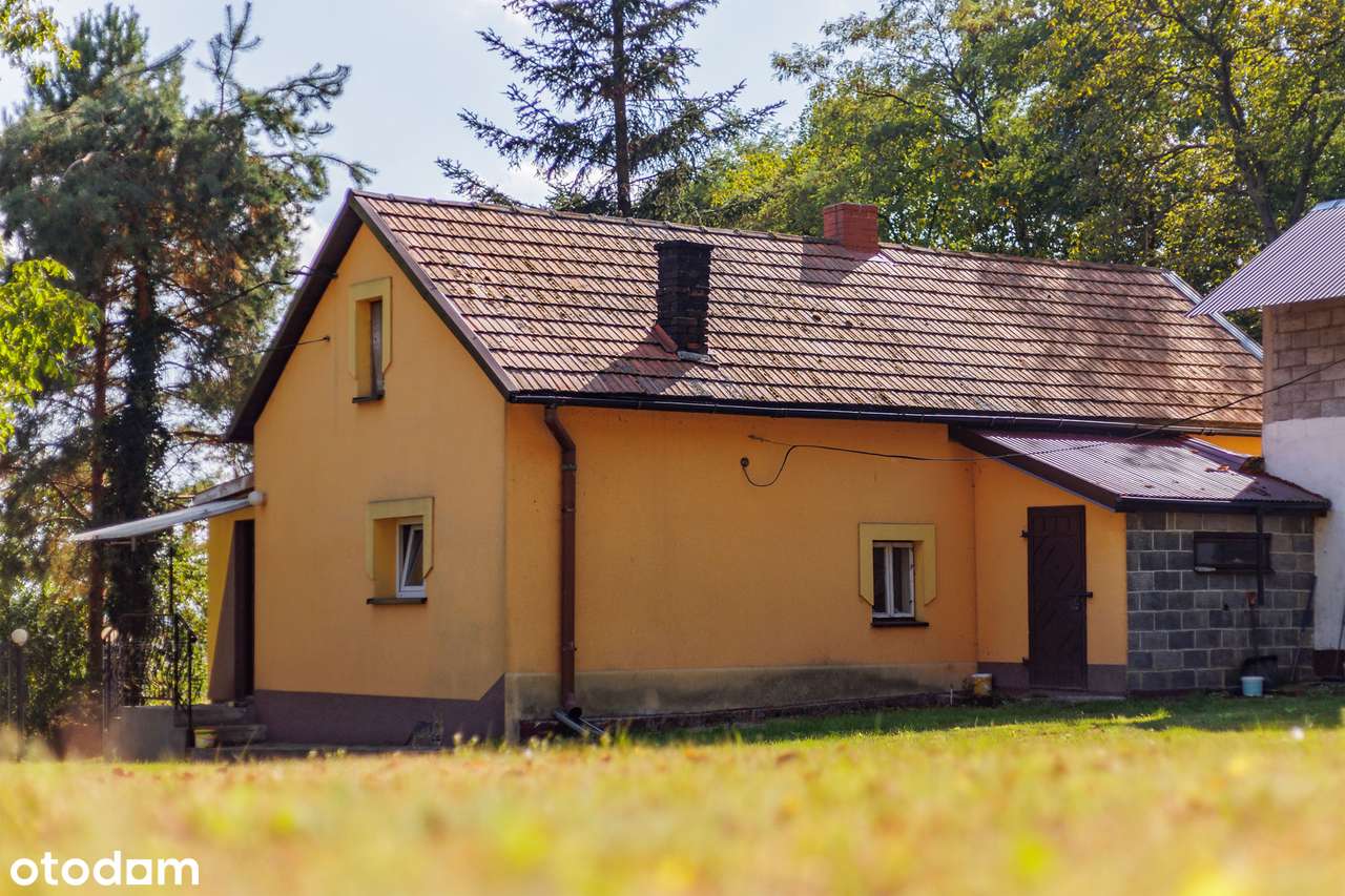 3M| DOM_osobna kuchnia_blisko lasu_stodoła| TYLKO U NAS!-17