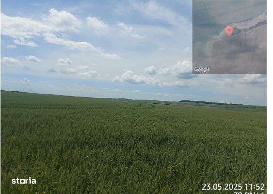 Teren extravilan 5000 mp Loc Plesoiu, Jud Olt - Imagine principală: 1/3