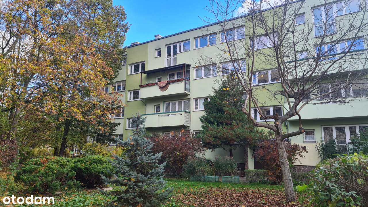 Krzyki Borek 3 pokoje z balkonem po remoncie-0