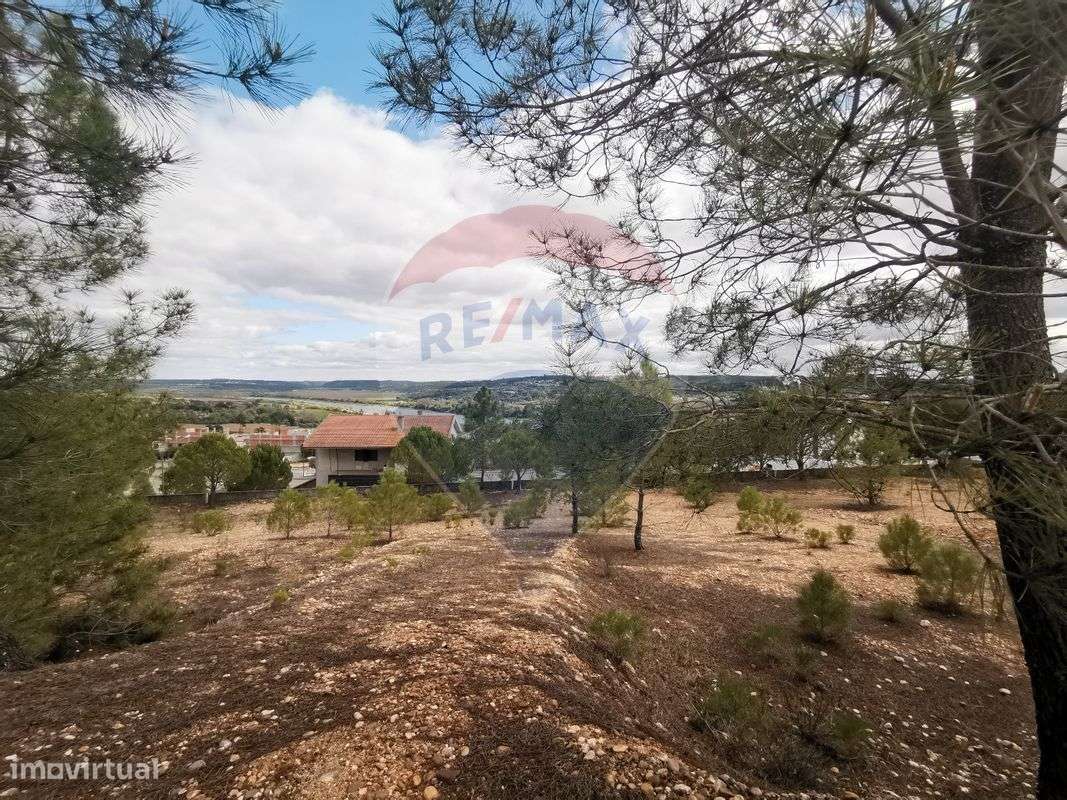 Terreno  para venda - Grande imagem: 5/18