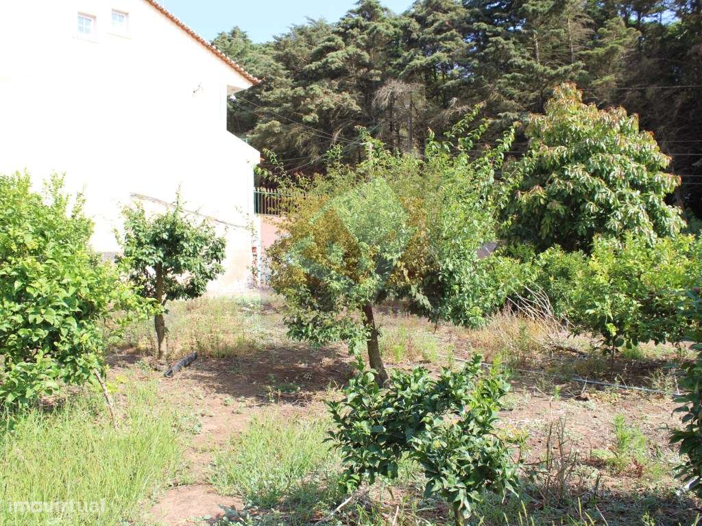Terreno urbano no Bairro dos Pedrogãos em Caneças-9