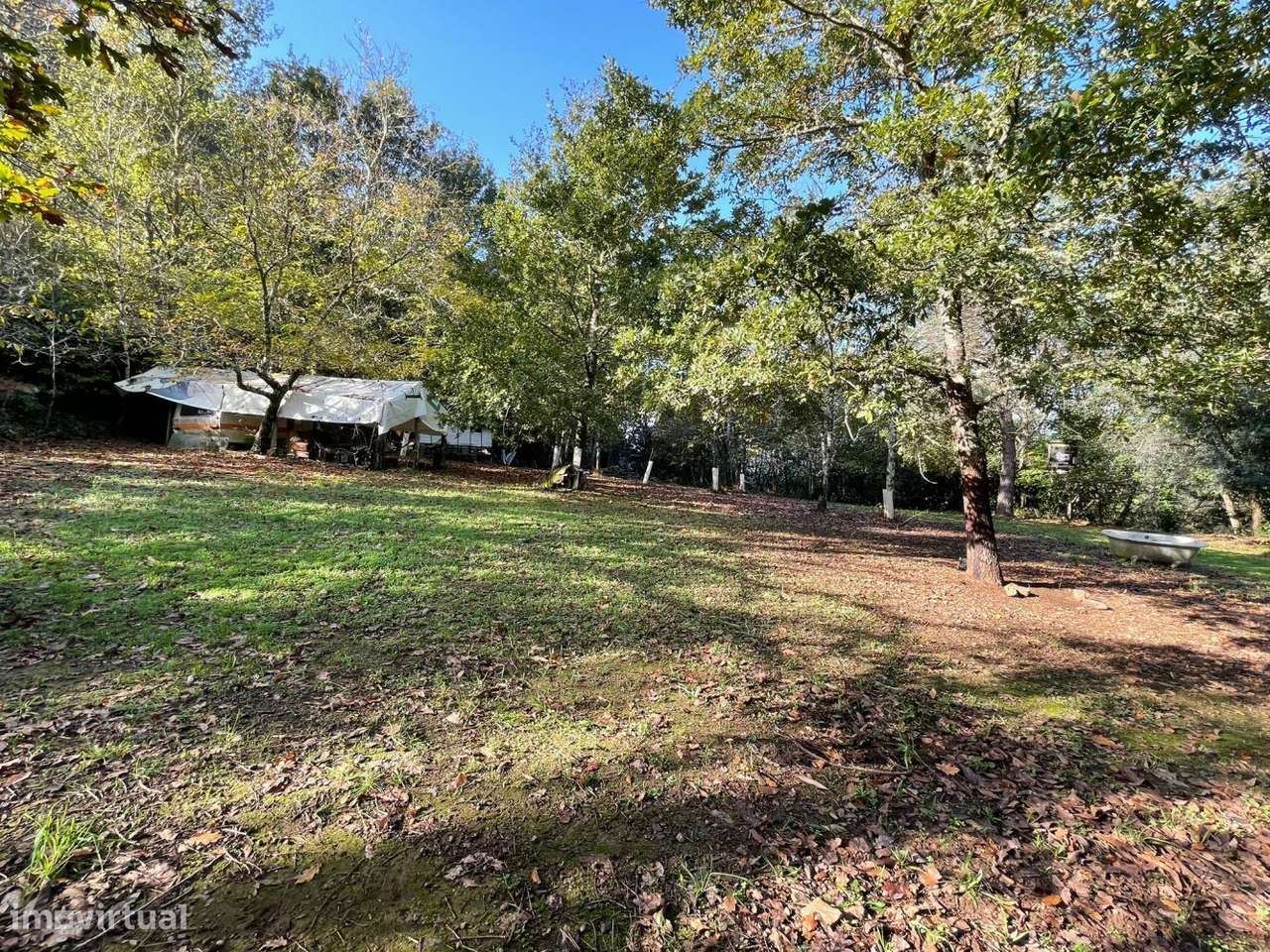 Quinta com casa para recuperar junto a ribeiro-7