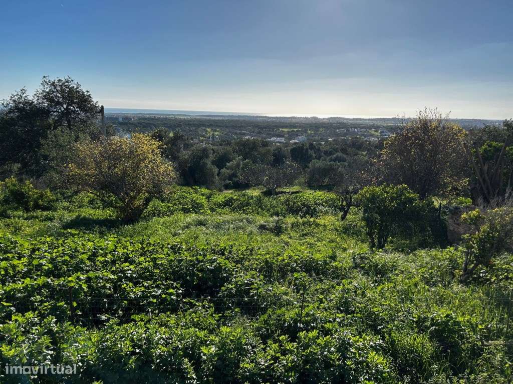 Terreno para construção de moradia com piscina - Boliqueime - Grande imagem: 5/12