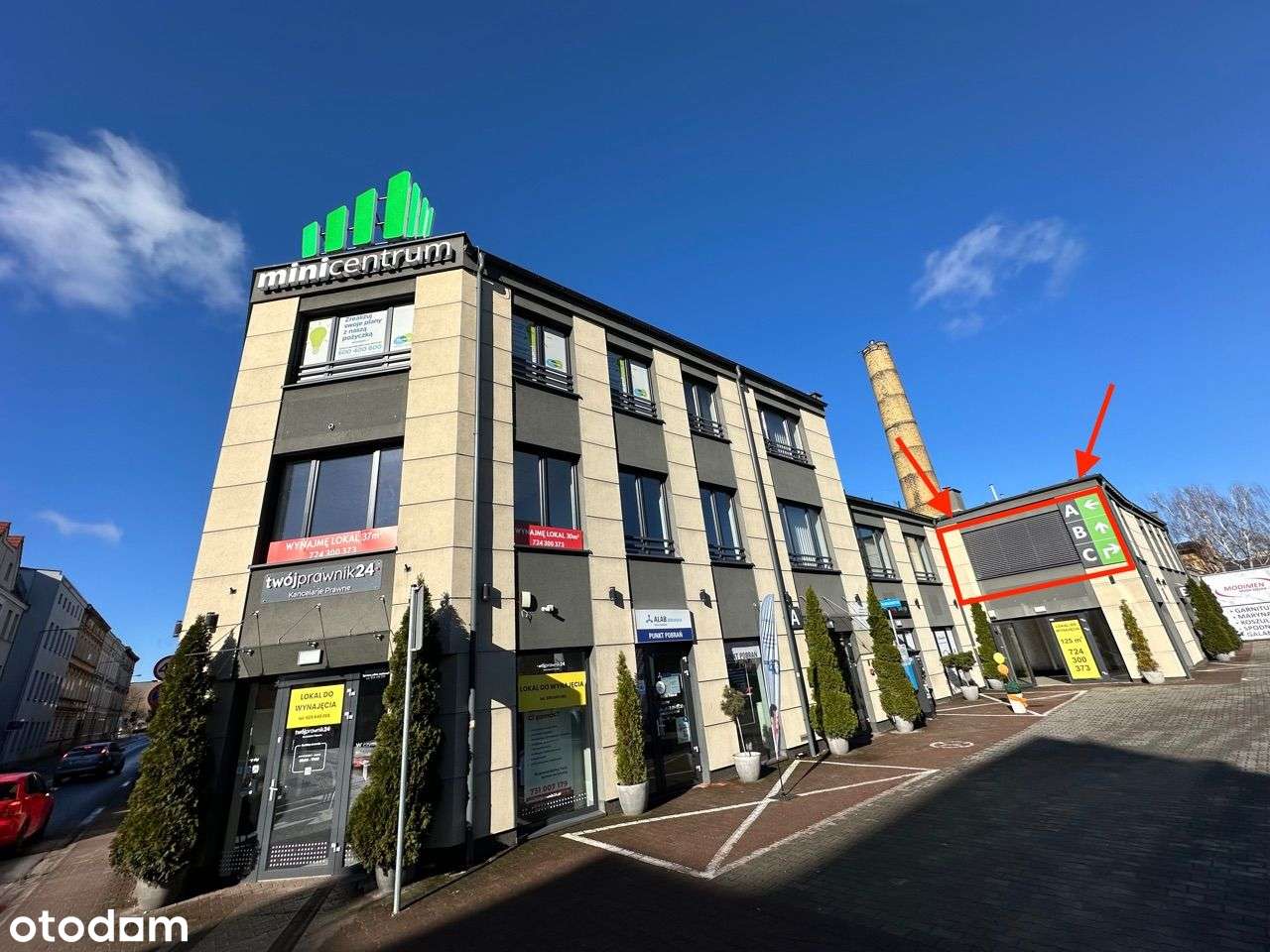 Przestronny słoneczny lokal w centrum miasta - Pełny obrazek: 5/5