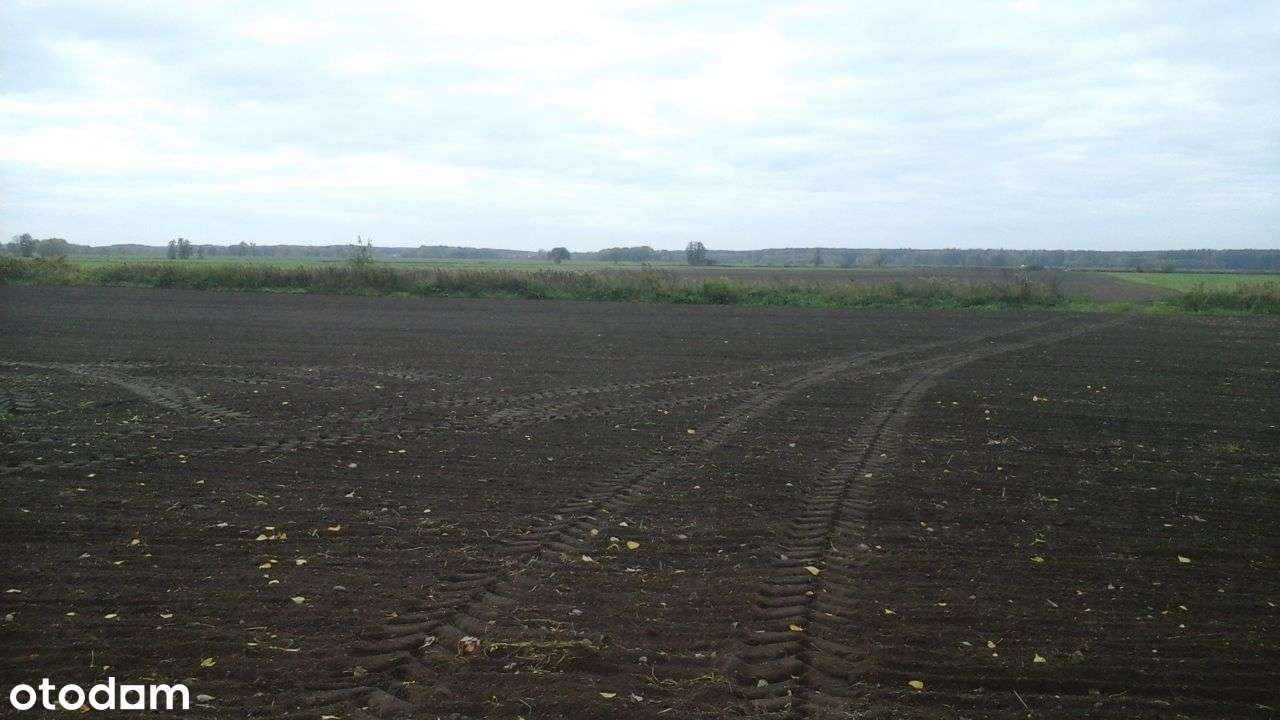 grunty rolne 6,40 ha świerczów